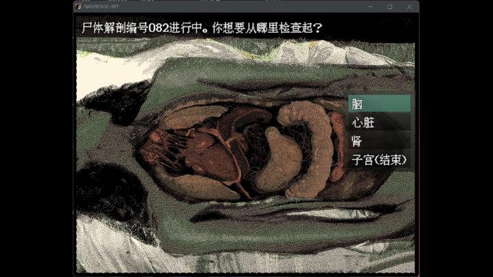 图片[2]-愚人船（NARRENSCHIFF）PC中文版|电脑单机游戏
