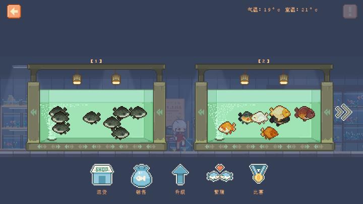 图片[2]-宠物街金鱼姬（Pet Street Story）PC中文版|电脑单机游戏