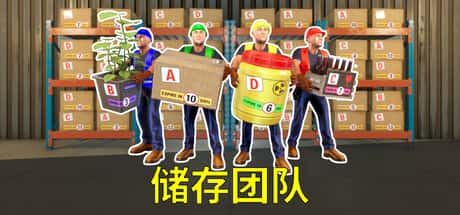 存储团队