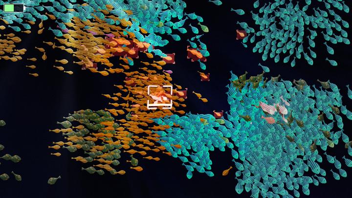 图片[2]-鱼类实验室（Fish Lab）PC中文版|电脑单机游戏
