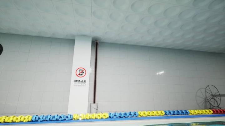 图片[2]-泳池循环（POOL LOOP）PC中文版|电脑单机游戏