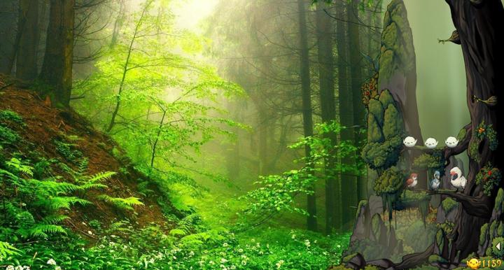 图片[1]-幻鸟之森（Fantasy Bird Woods）PC中文版|电脑单机游戏