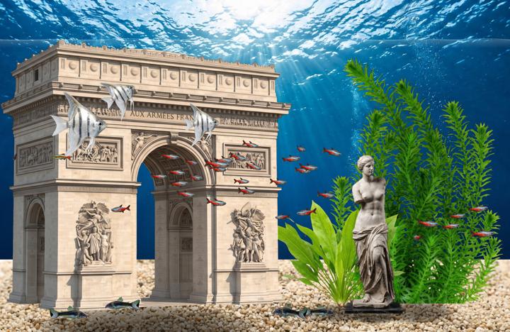 图片[1]-桌面水族馆（AquaDesk）PC中文版|电脑单机游戏