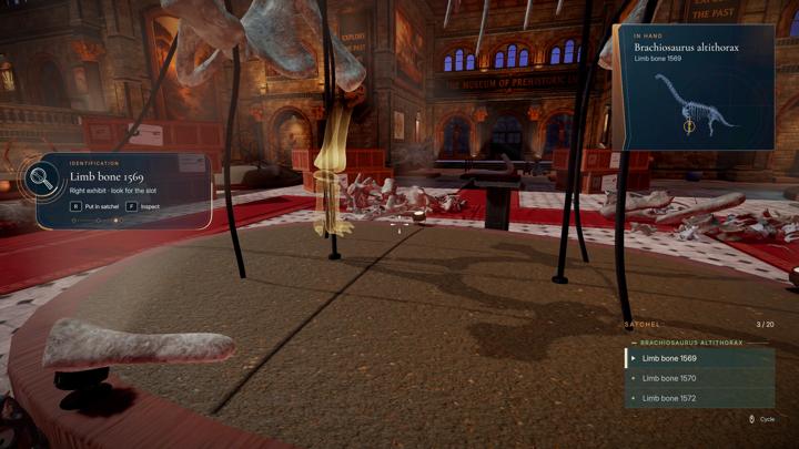 图片[4]-恐龙骨骼：整理博物馆（DinoBones: Tidy Up the Museum）PC中文版|电脑单机游戏